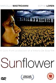 Sunflower Subtitles 54 Available subtitles opensubtitles